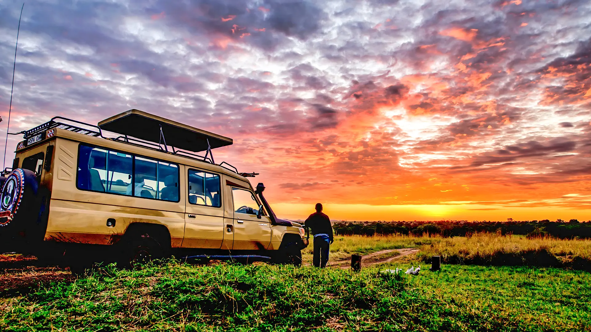 Safari & Beach Adventures