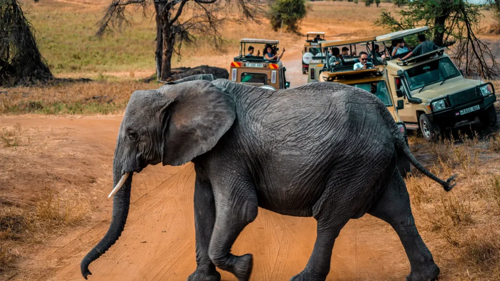 Exploring Africa