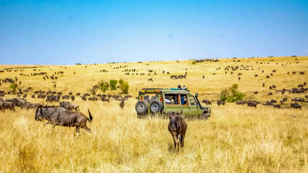 Kenya National Parks Explained