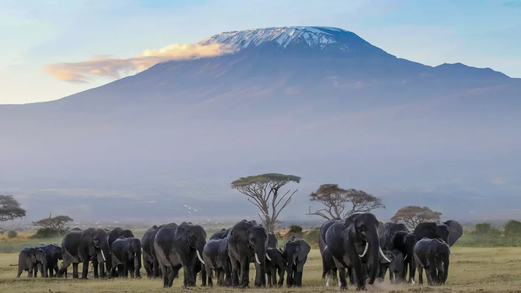 Tanzania National Parks Explained