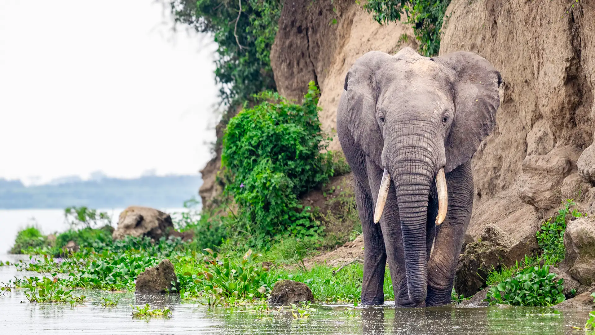 Murchison Falls National Park