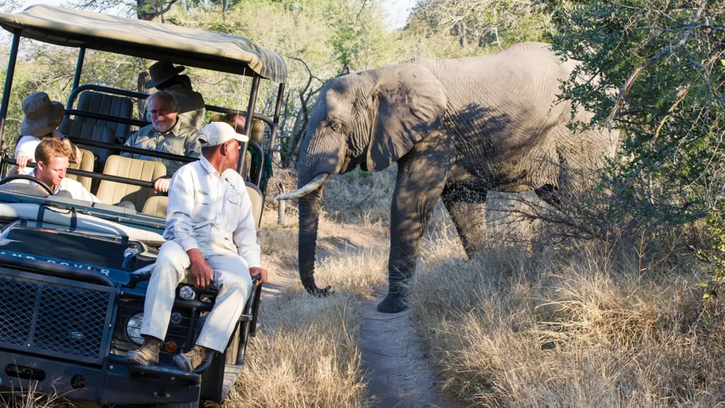Safari Trip