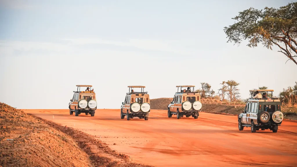 Why Uganda Should Be Your Next African Safari Destination