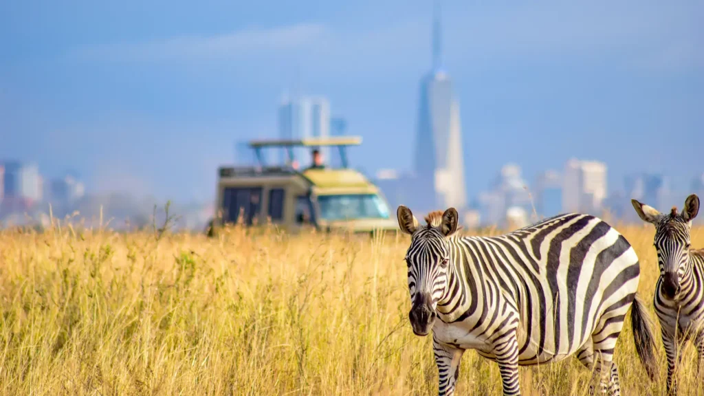 Kenya National Parks Explained