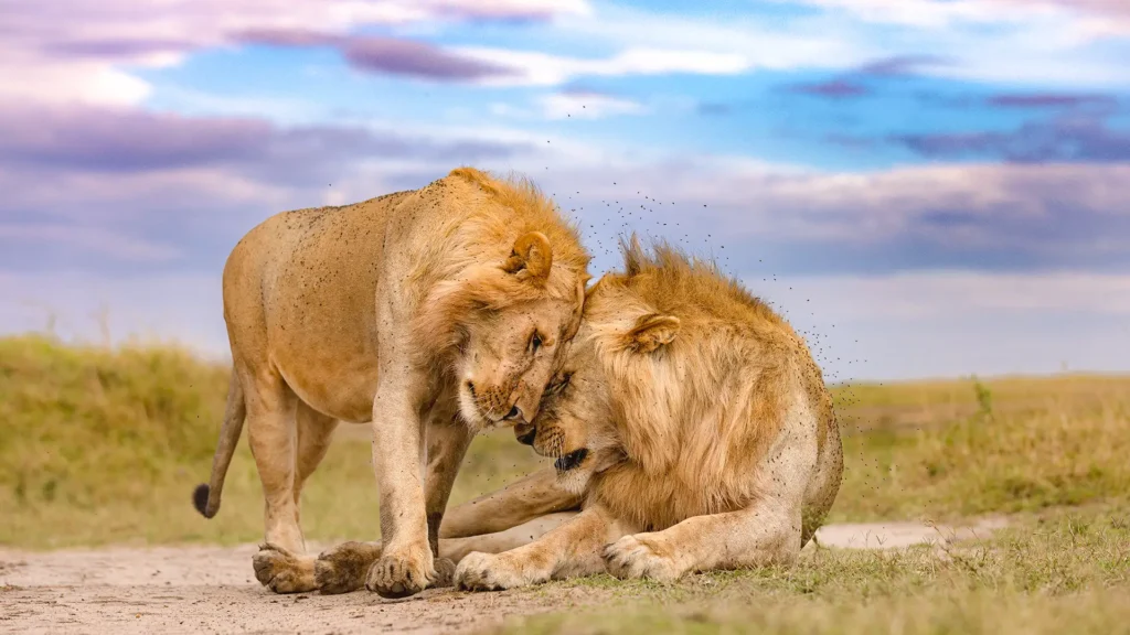 Maasai Mara National Reserve
