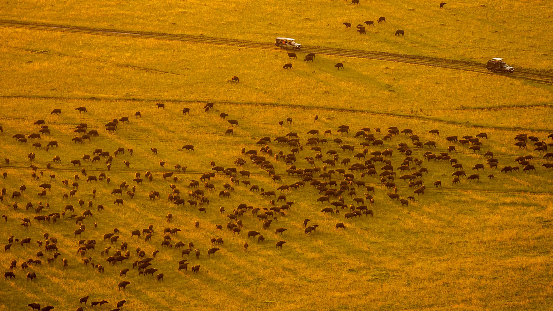 Maasai Mara National Reserve