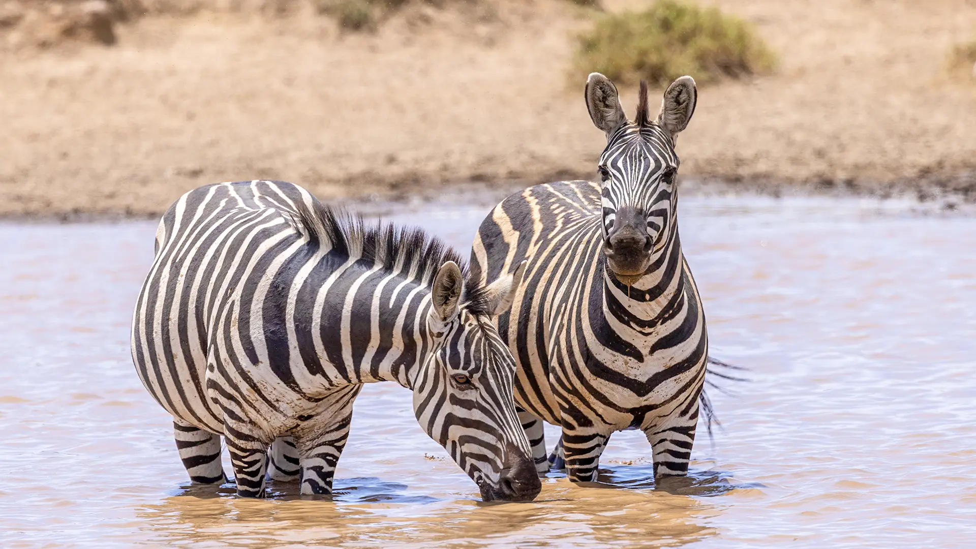 Maasai Mara National Reserve