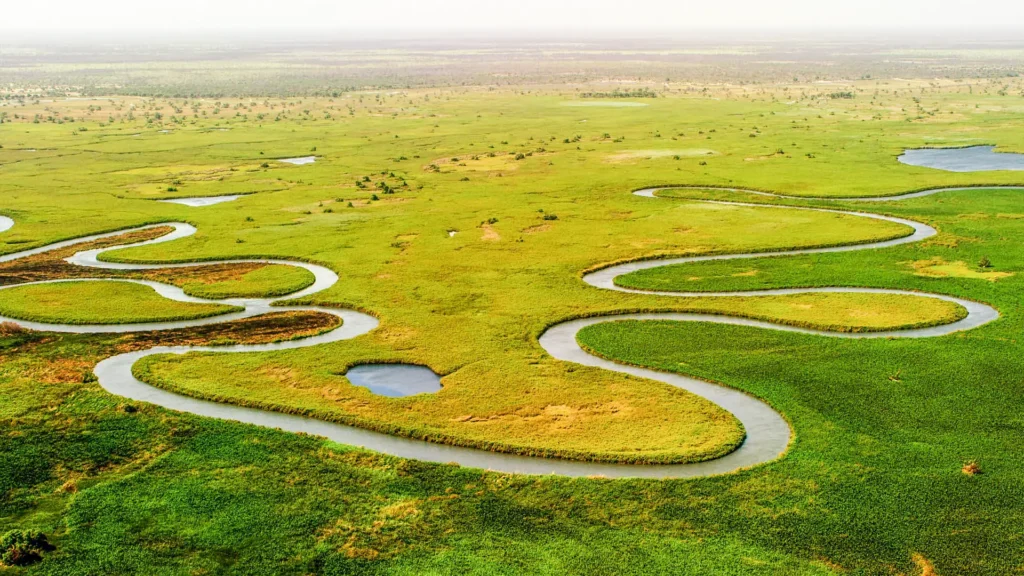 Okavango Delta