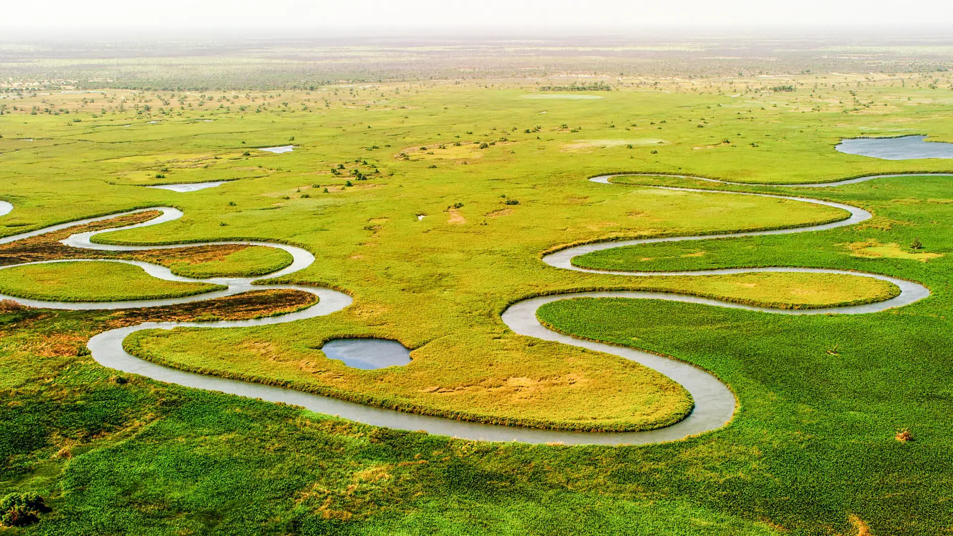 Okavango Delta