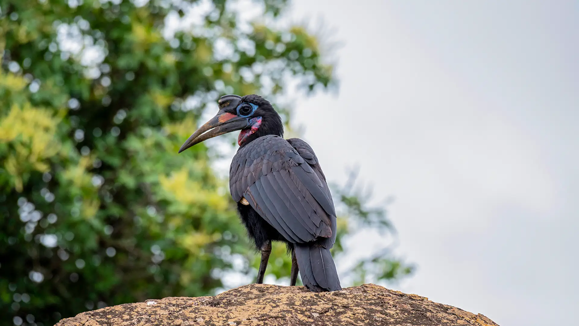 Kidepo Valley National Park