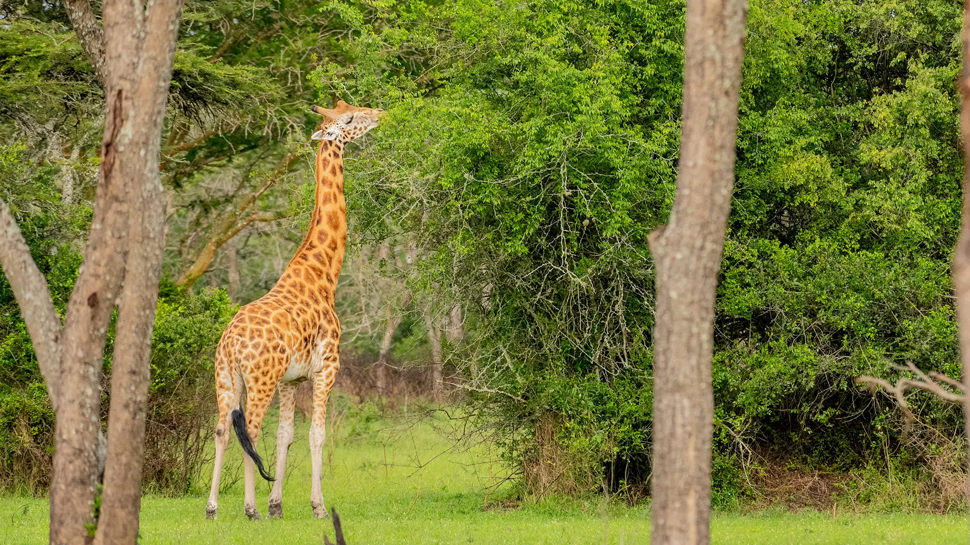 Lake Mburo National Park
