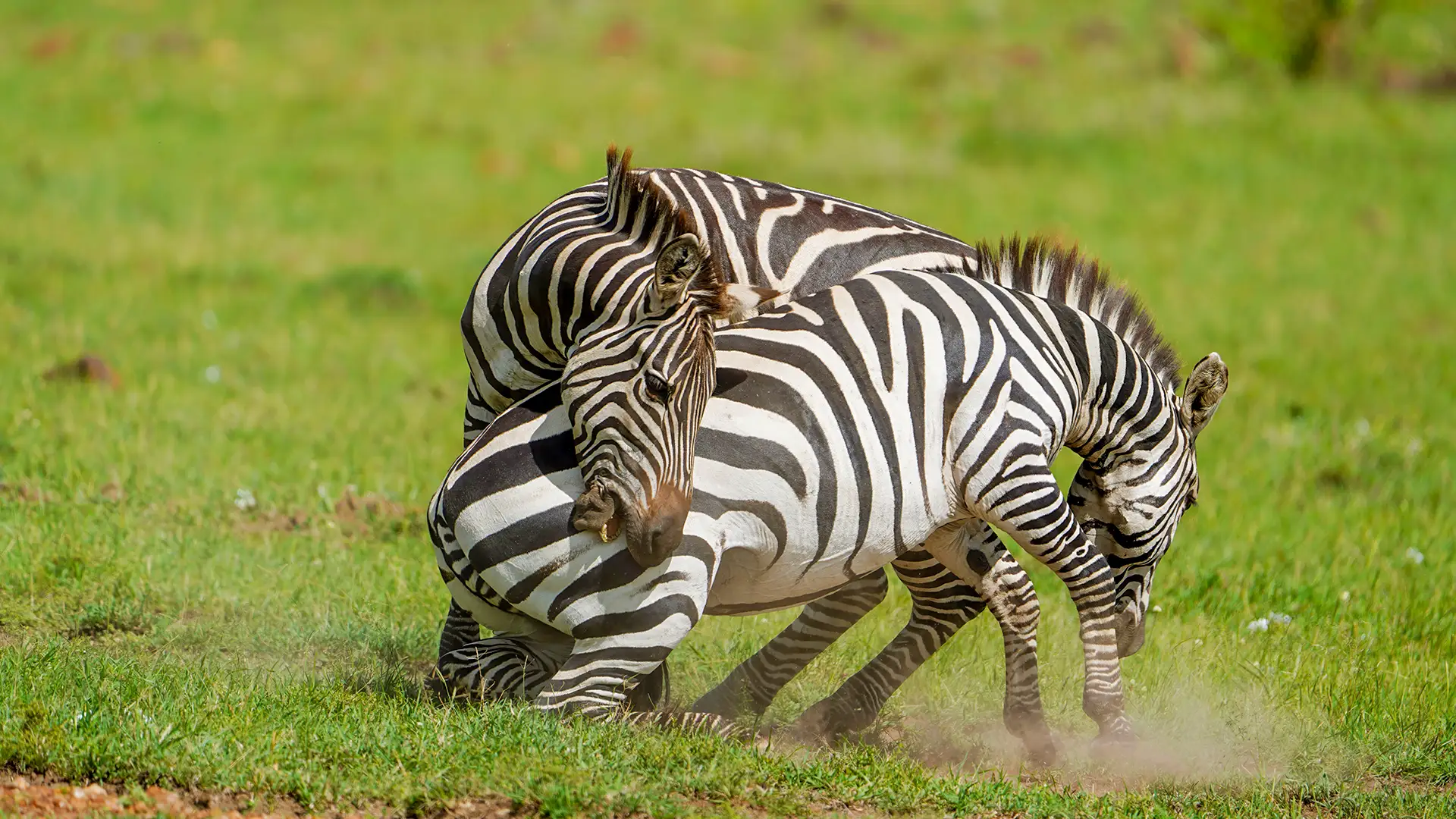 Lake Mburo National Park