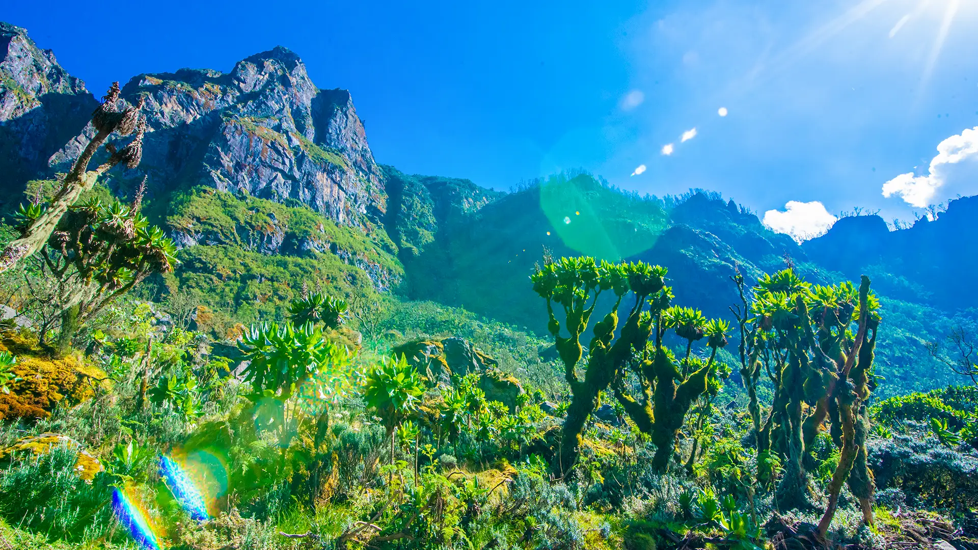 Rwenzori Mountains Margherita Peak Expedition