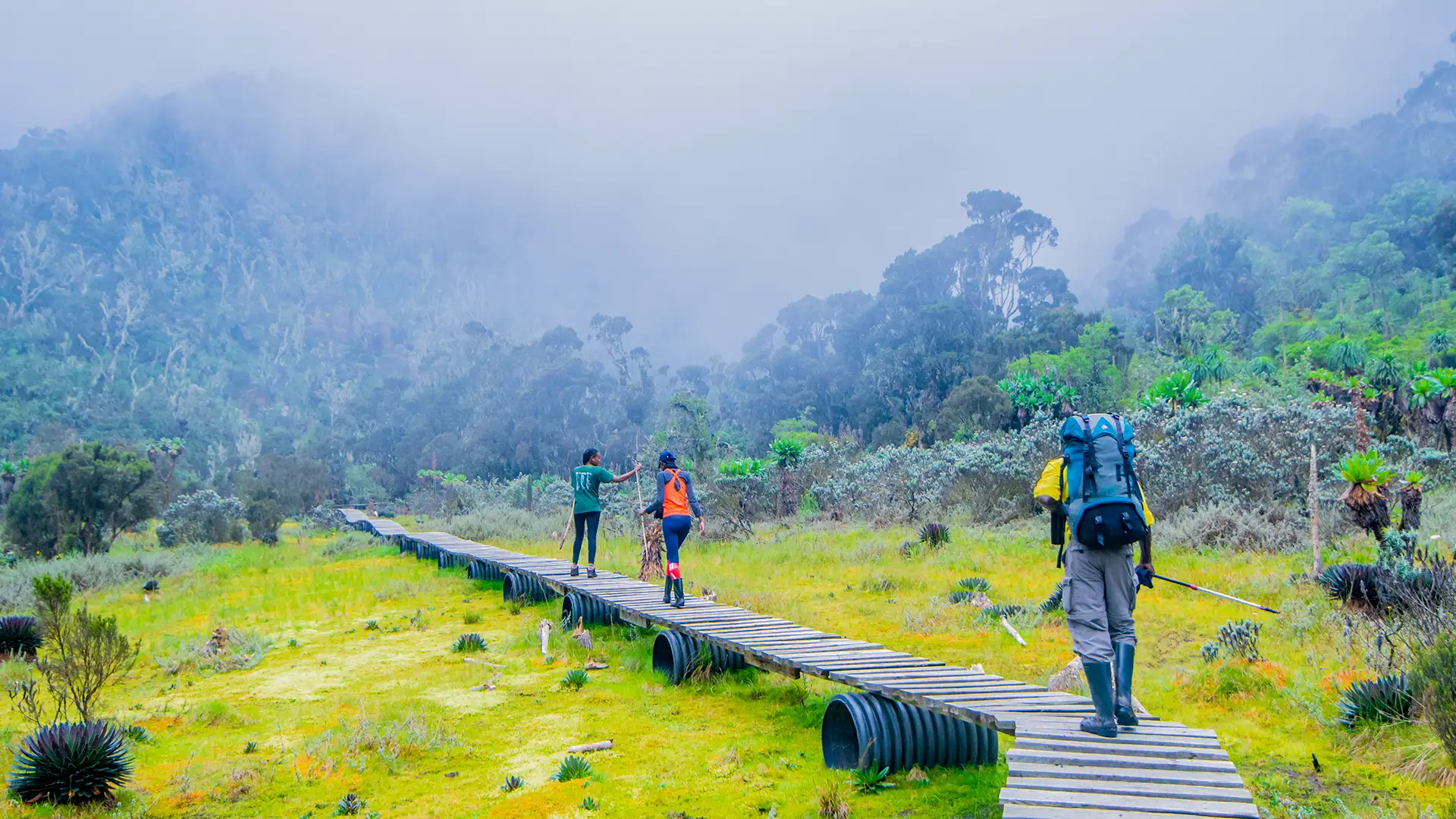 Rwenzori Mountains Margherita Peak Expedition