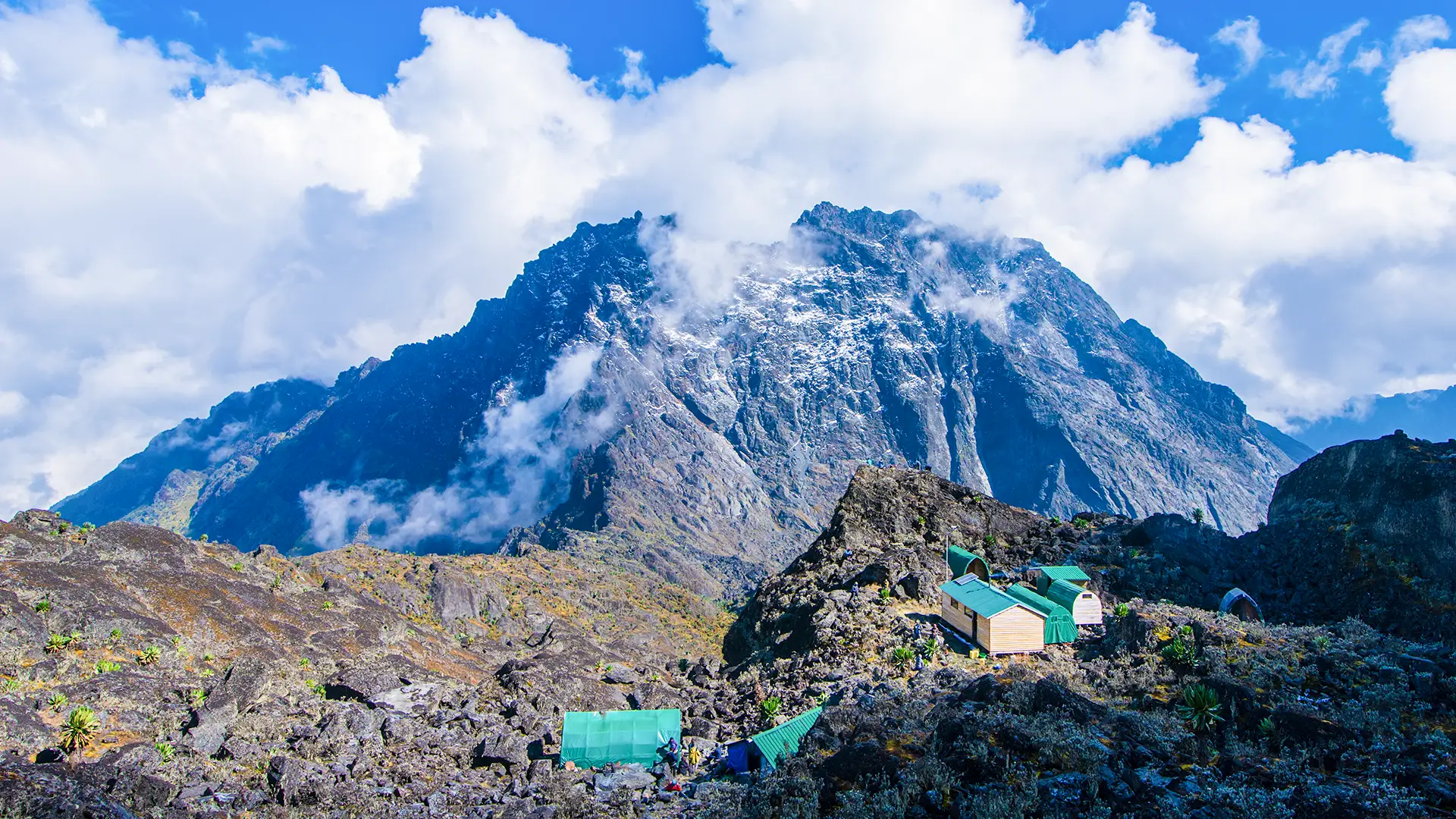 Rwenzori Mountains Margherita Peak Expedition
