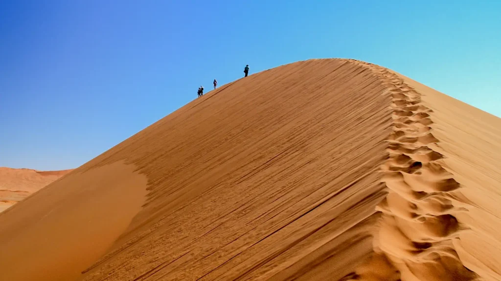 Namibia Desert Safari