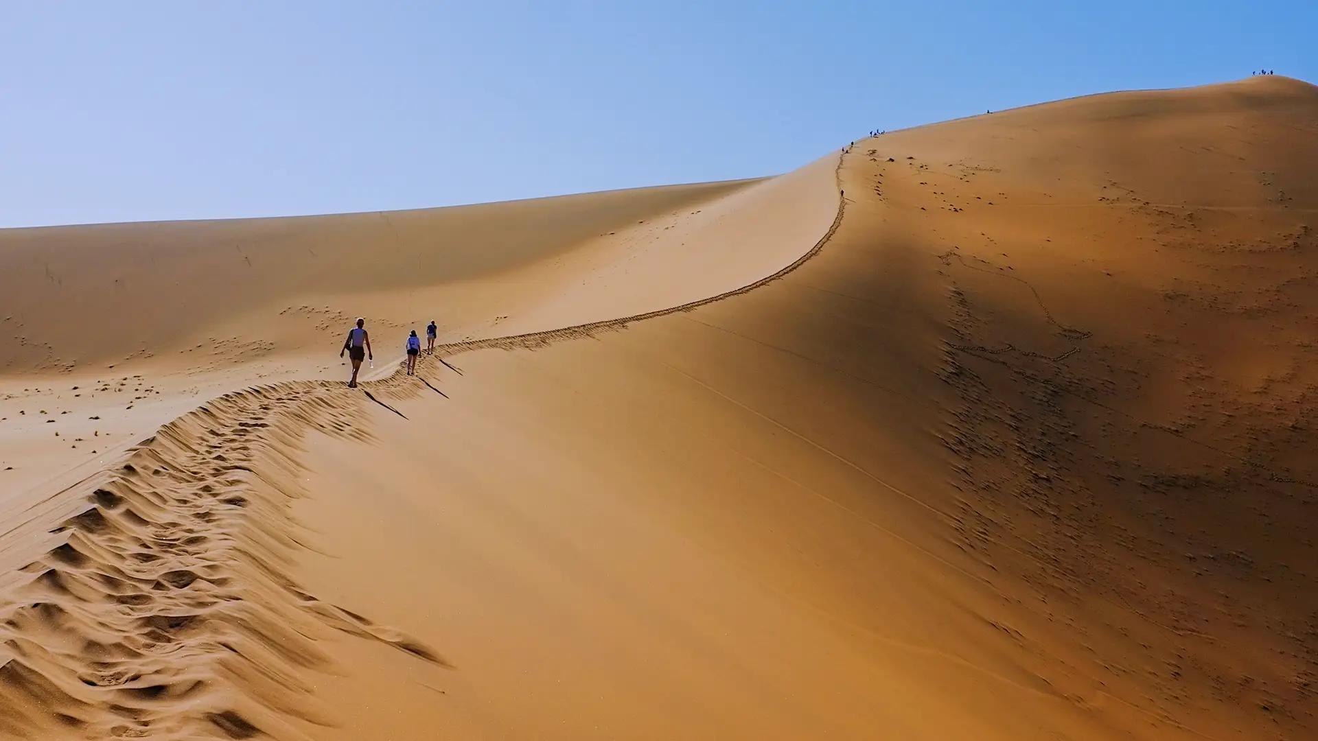 Namibia Desert Safari